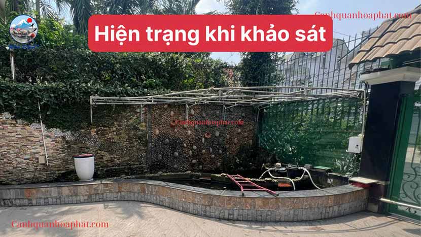 hiện trạng hồ cá koi cũ tại Bình Thạnh trước khi cải tạo