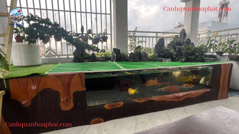Thi công hồ cá Koi bằng Kính Tân Phú - hòa phát