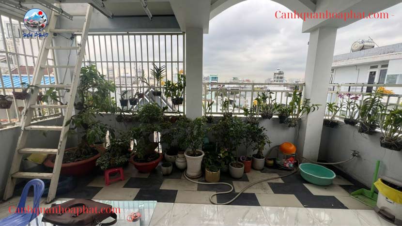 khởi công công trình thi công hồ cá koi mini bằng kính - cảnh quan hòa phát