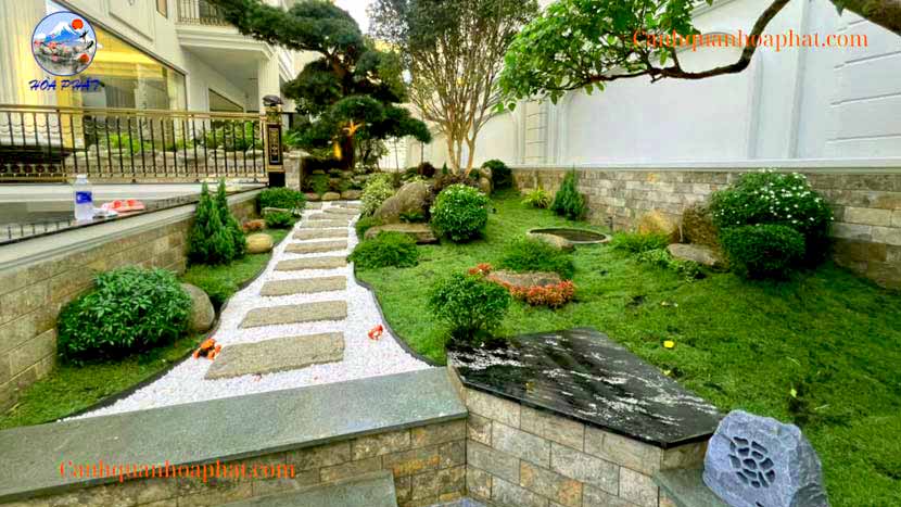 công trình sân vườn thực tế Cảnh Quan Hòa Phát tại gò vấp