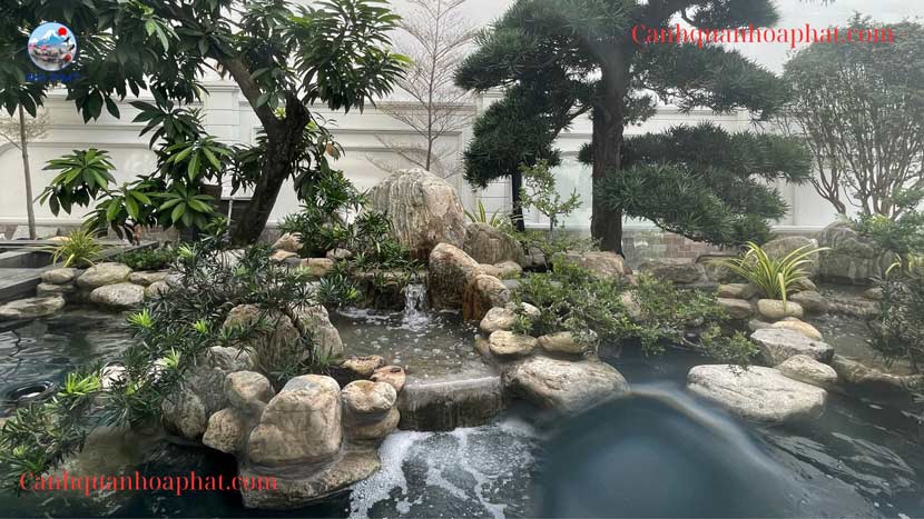 góc nhìn từ trong nhà ra hồ cá koi