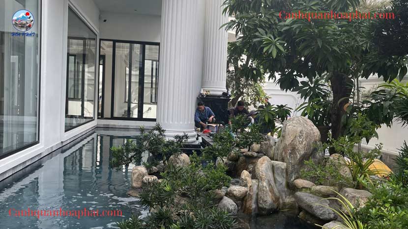 sắp sửa hoàn thiện công trình thi công hồ cá koi tại gò vấp