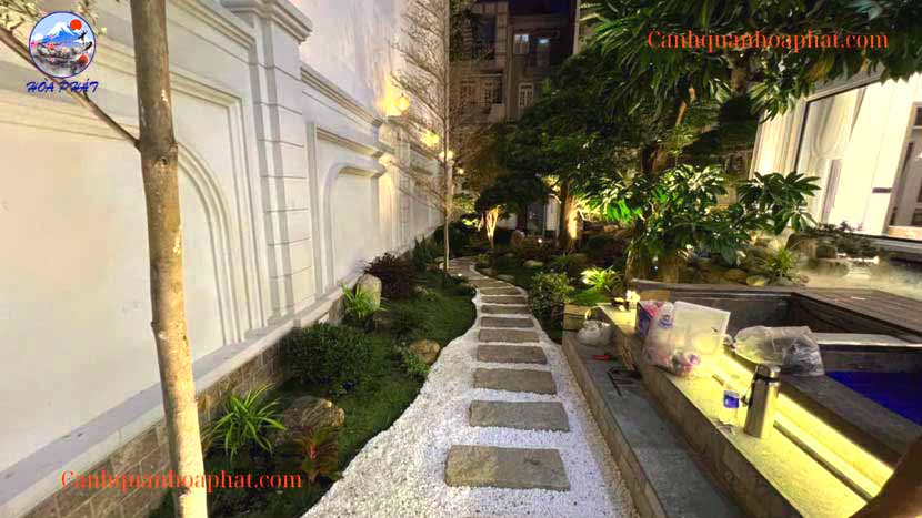 /thi-công-hồ-cá-koi-kết-hợp-sân-vườn-tại-quang-trung-gò-vấp