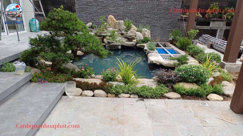 ngâm nước test thử nước hồ cá - cảnh quan hòa phát