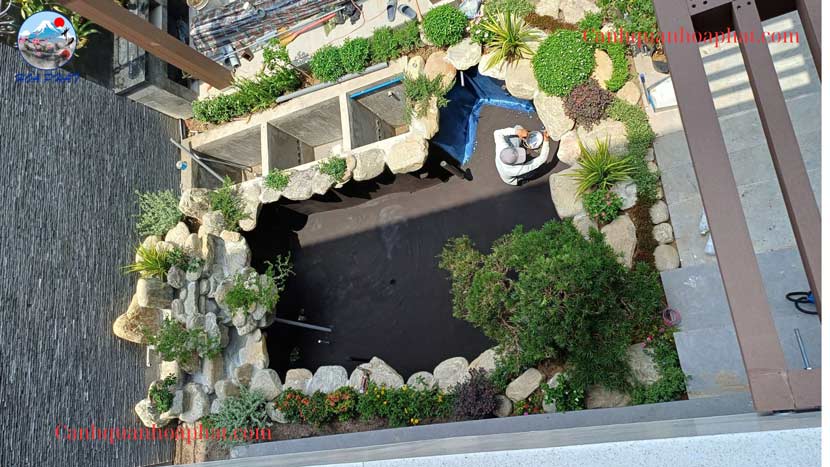 chống thấm hồ cá cảnh quan hòa phát
