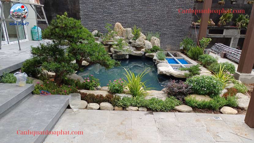 hoàn thành công trình hồ cá koi tại dĩ an bình dương- cảnh quan hòa phát