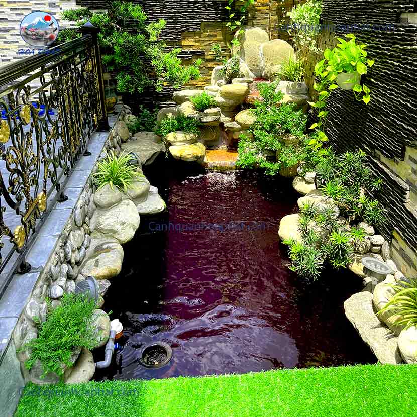 hoàn thành công trình hồ cá Koi cho gia đình anh Trưởng