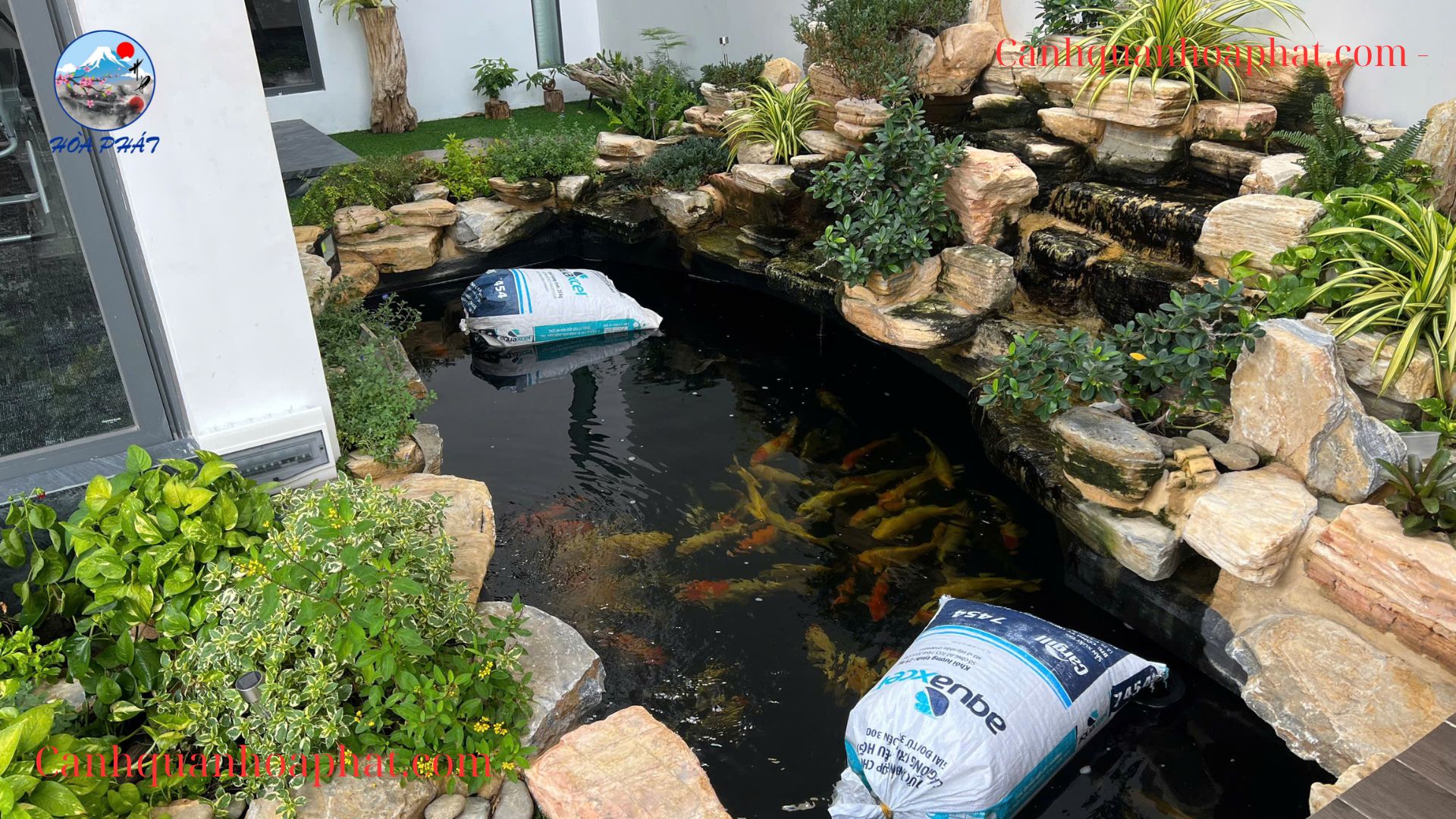 Báo giá thiết kế thi công hồ cá Koi 2026