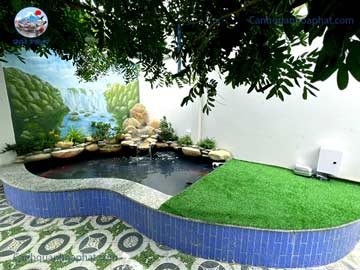 Cải tạo hồ cá koi Mini tại Tân An Tây Ninh