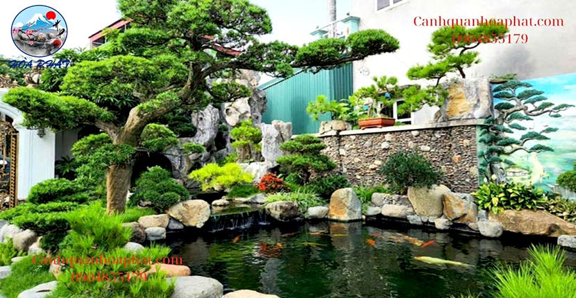 Hồ cá Koi Nhật Bản và Việt Nam – Khác biệt ở đâu