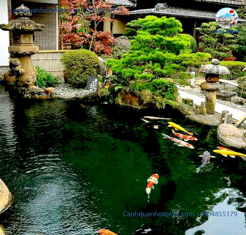 Quy trình thiết kế hồ cá Koi chuẩn kỹ thuật năm 2026