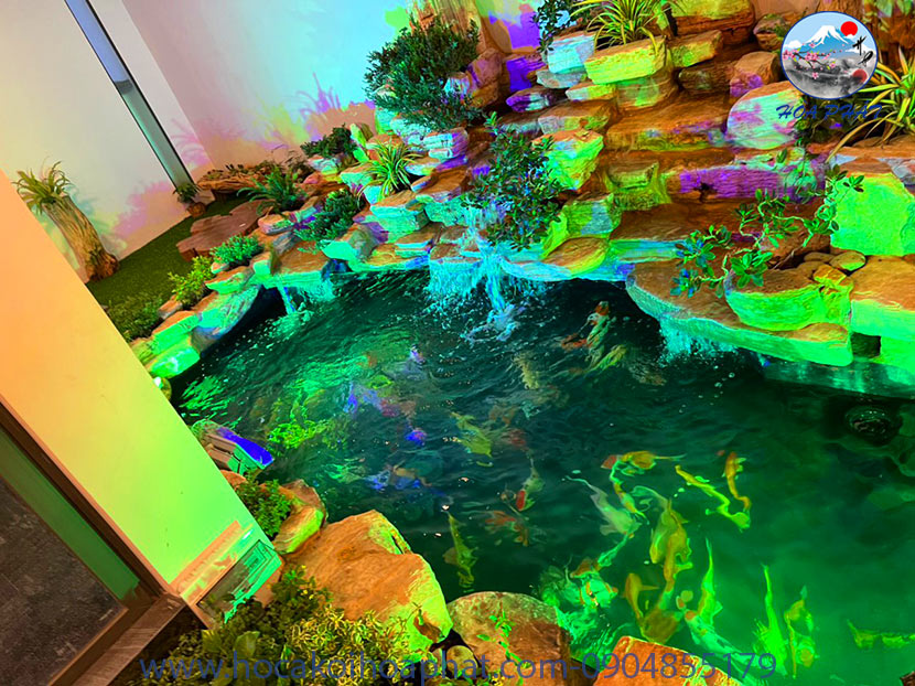 Sai Lầm Khi Thi Công Hồ Cá Koi Giá Rẻ