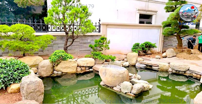 Thi Công Hồ Cá Koi Mini – Giải Pháp Đẹp, Gọn Và Chuẩn
