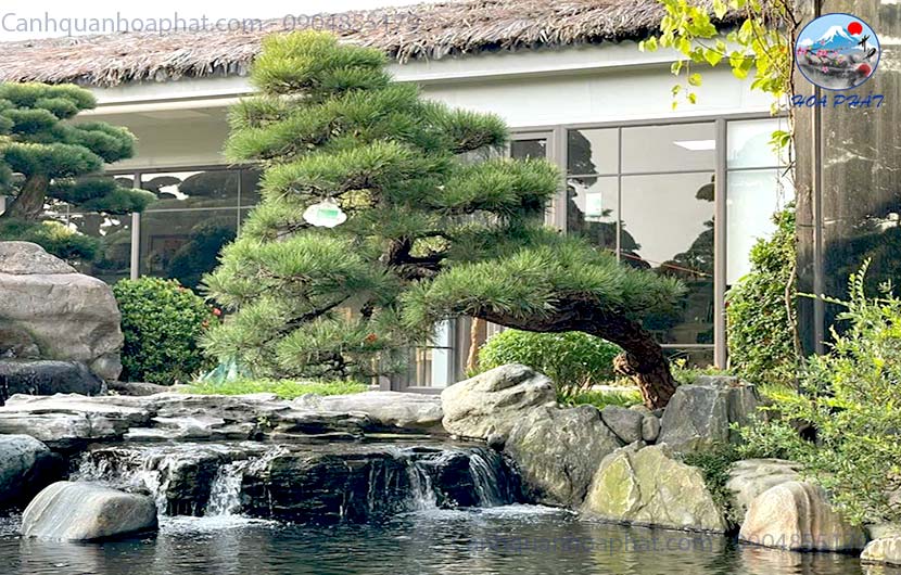 Thiết Kế Hồ Cá Koi Chuẩn Nhật | Không Gian Sống Đẹp Và Đẳng Cấp