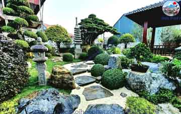Top 7 Loại Cây Trồng Trên Sân Thượng Chịu Nắng Tốt, Dễ Chăm & Hợp Phong Thủy