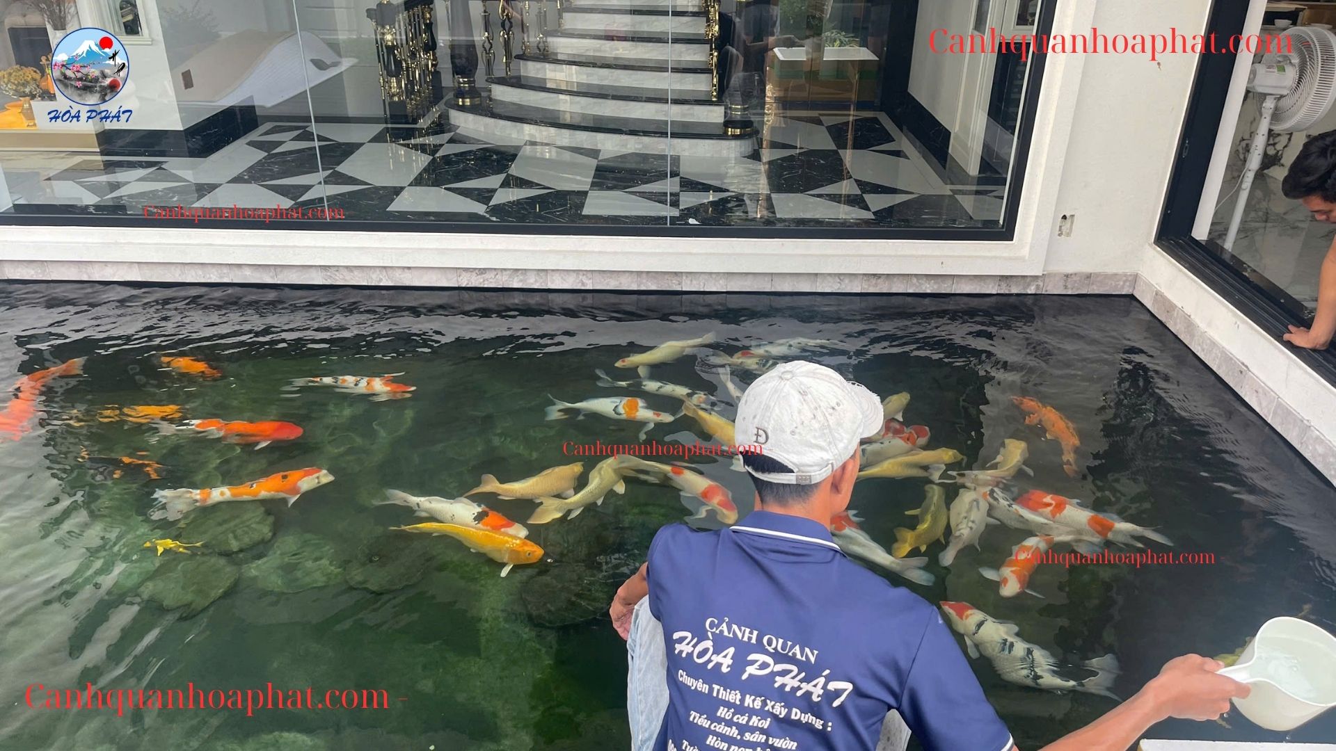 Vì sao báo giá thi công hồ cá Koi chênh lệch?